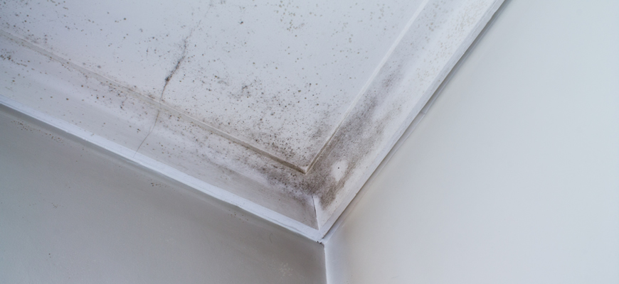A ceiling with mould seems innocent, but could be affecting your health.