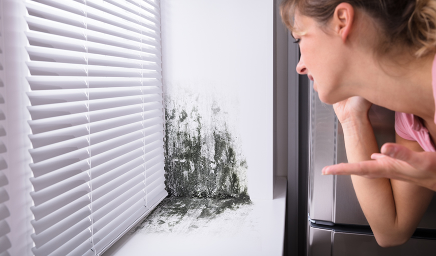 Mould is Threatening the Health of Australians in their Own Homes
